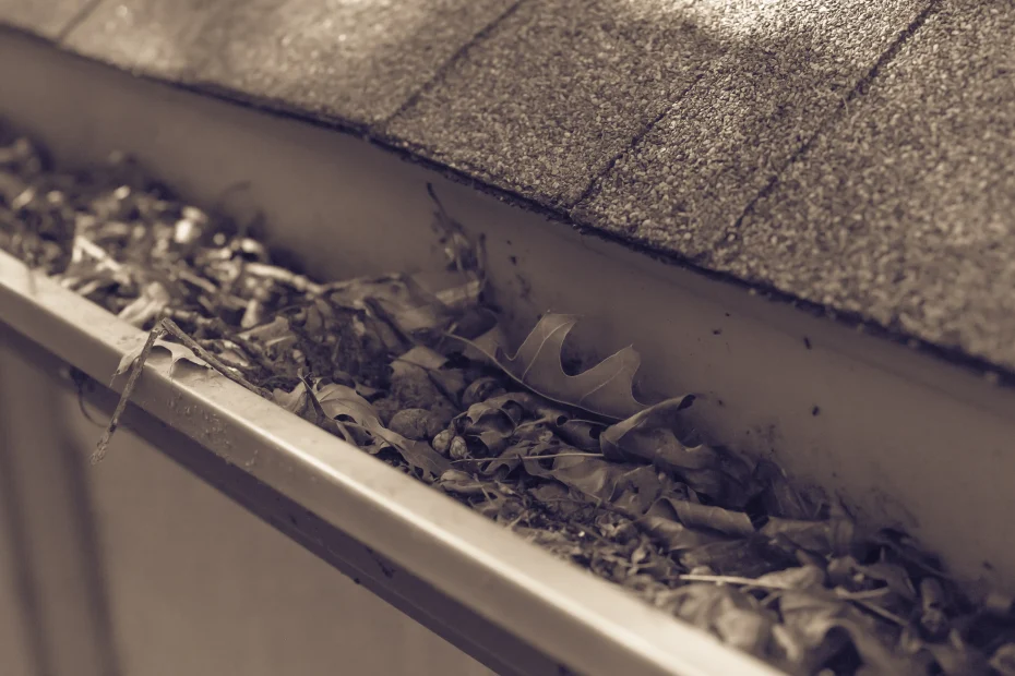 Bainbridge Gutter Cleaning