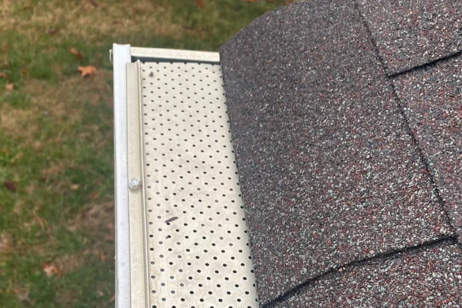 Bainbridge Gutter Cleaning